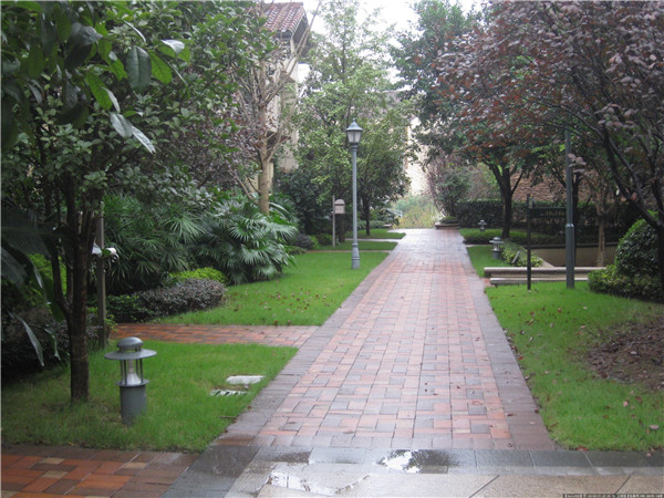 1609986774798239.jpg 505eb68364a1ba3fb3041d3ef5c4e9e.jpg